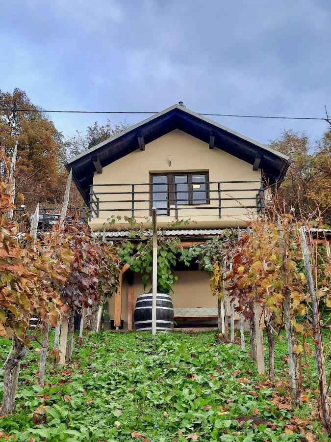 Vineyard Cottage Kulovec Ursna Sela Exterior photo